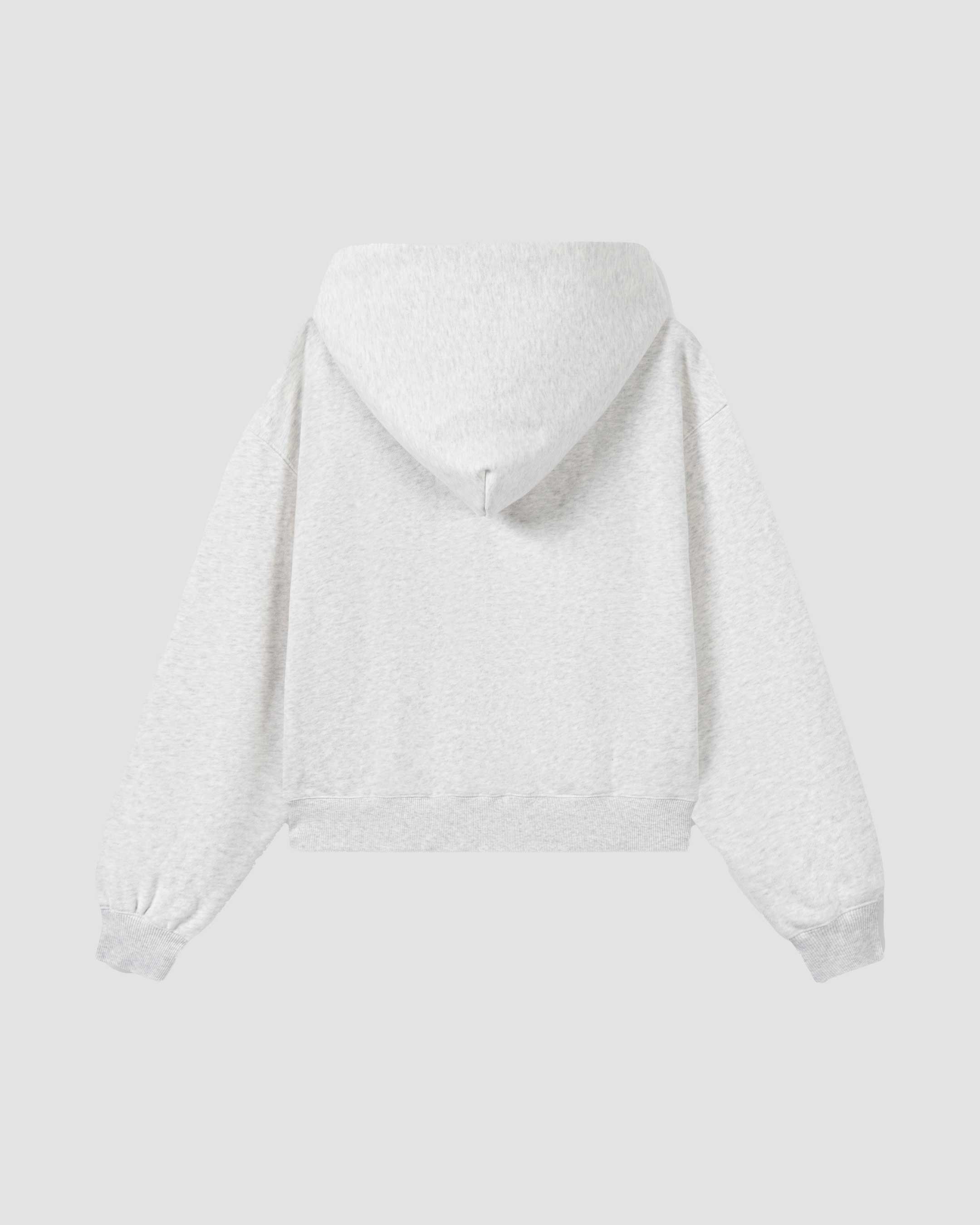 SaintsWeight™ 450 Full Zip Hoodie Heather Grey (Product) Back - Saints & Sports